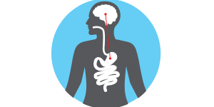 stomach and brain icon