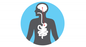An icon depicting the connection between the stomach and brain icon